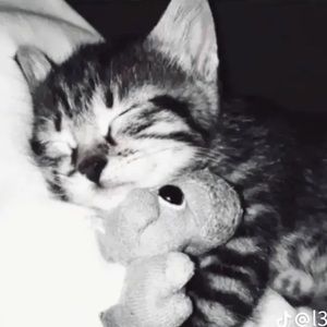 Meet your Posher, Blunt